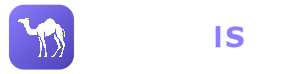 Camel Live
