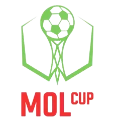 كأس التشيك