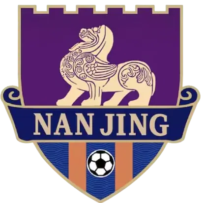 Nanjing Team